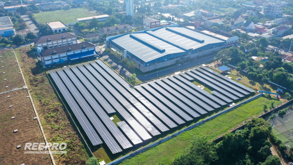 reepro project 11.png