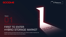 Why-GoodWe-is-the-Global-Leader-in-Storage-Inverter-34.jpg